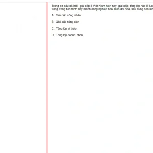 MLN131 SU25 B5 FE_039.webp