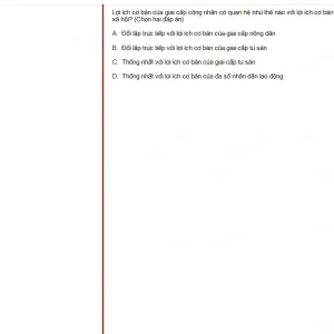 MLN131 SU25 B5 FE_043.webp
