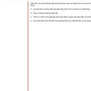 MLN131 SU25 B5 FE_046.webp