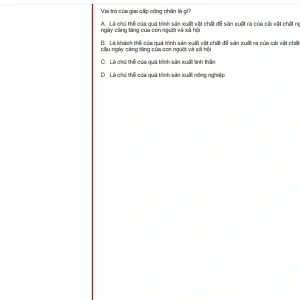 MLN131 SU25 B5 FE_048.webp