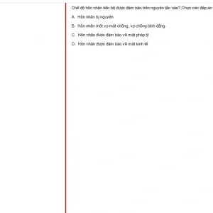 MLN131 SU25 FE_043.webp