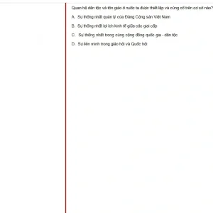 MLN131 SP25 FE_001.webp