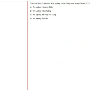 MLN131 SP25 FE_002.webp