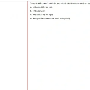 MLN131 SP25 FE_013.webp