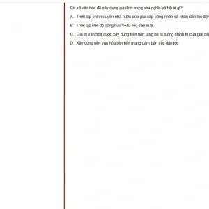 MLN131 SP25 FE_017.webp