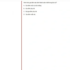 MLN131 SP25 FE_019.webp