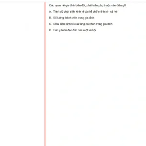 MLN131 SP25 FE_020.webp