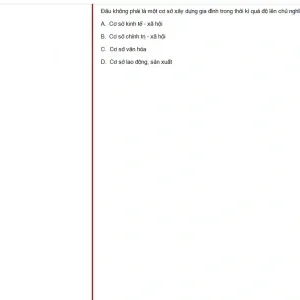 MLN131 SP25 FE_021.webp