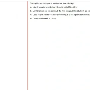 MLN131 SP25 FE_029.webp