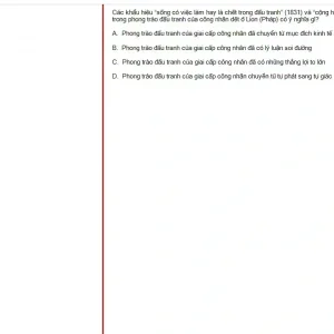 MLN131 SP25 FE_030.webp