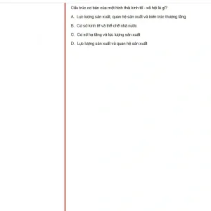MLN131 SP25 FE_031.webp