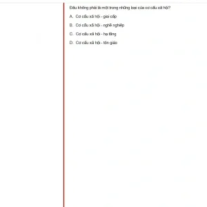 MLN131 SP25 FE_037.webp