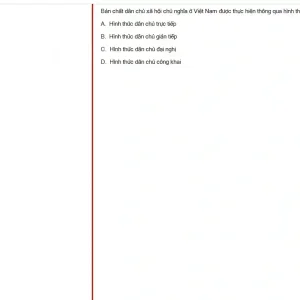 MLN131 SP25 FE_040.webp
