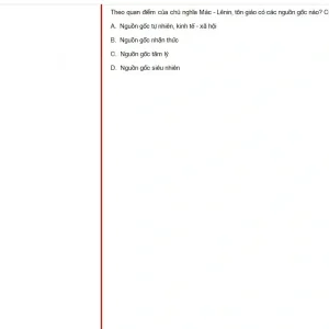 MLN131 SP25 FE_042.webp
