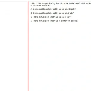 MLN131 SP25 FE_043.webp
