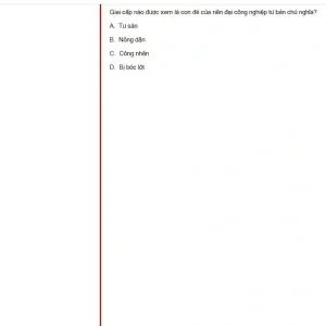 MLN131 SP25 FE_044.webp