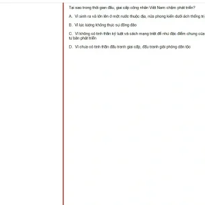 MLN131 SP25 FE_047.webp