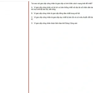 MLN131 SP25 FE_049.webp