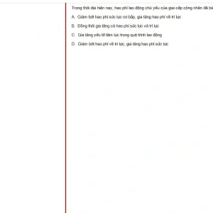 MLN131 SP25 FE_051.webp