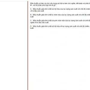 MLN131 SP25 FE_056.webp