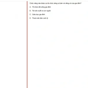 MLN131 SP25 FE_060.webp
