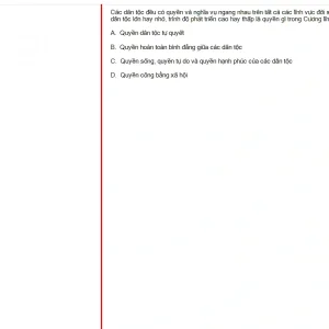 MLN131 FA24 B5 FE RE_002.webp