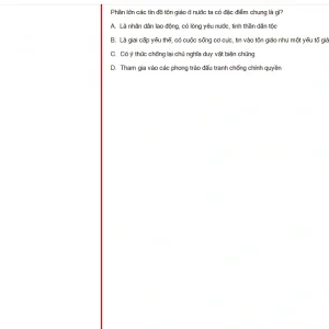 MLN131 FA24 B5 FE RE_004.webp