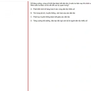 MLN131 FA24 B5 FE RE_005.webp