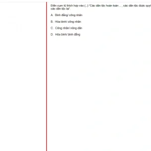 MLN131 FA24 B5 FE RE_008.webp