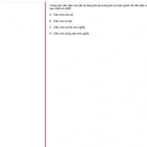 MLN131 FA24 B5 FE RE_010.webp