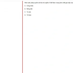 MLN131 FA24 B5 FE RE_011.webp