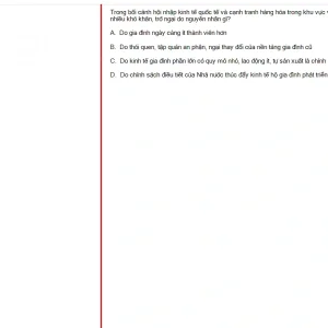 MLN131 FA24 B5 FE RE_017.webp