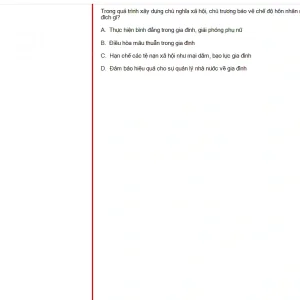 MLN131 FA24 B5 FE RE_018.webp