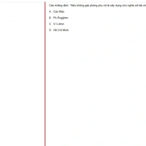 MLN131 FA24 B5 FE RE_019.webp