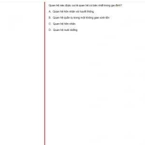 MLN131 FA24 B5 FE RE_020.webp