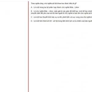 MLN131 FA24 B5 FE RE_028.webp