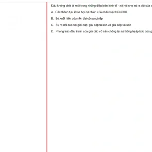 MLN131 FA24 B5 FE RE_030.webp