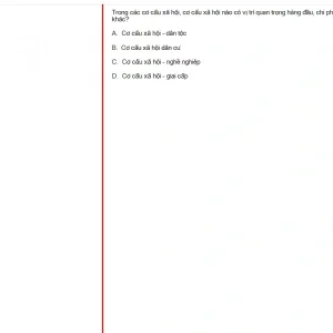 MLN131 FA24 B5 FE RE_034.webp