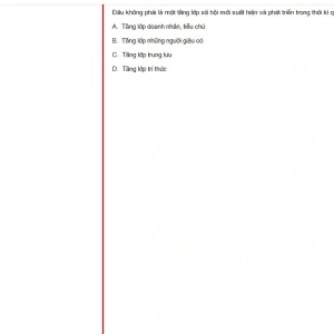 MLN131 FA24 B5 FE RE_039.webp