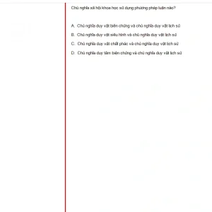 MLN131 FA24 B5 FE RE_049.webp