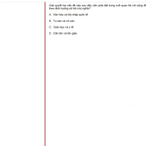 MLN131 FA24 B5 FE_001.webp
