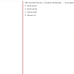 MLN131 FA24 B5 FE_002.webp