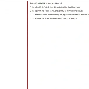 MLN131 FA24 B5 FE_003.webp