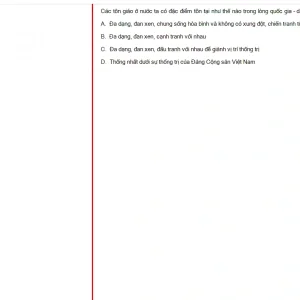 MLN131 FA24 B5 FE_004.webp