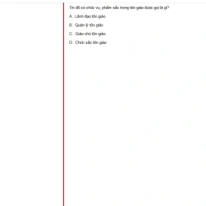 MLN131 FA24 B5 FE_007.webp
