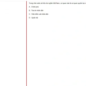 MLN131 FA24 B5 FE_009.webp