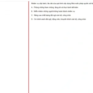 MLN131 FA24 B5 FE_013.webp