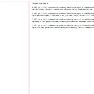 MLN131 FA24 B5 FE_014.webp