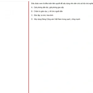 MLN131 FA24 B5 FE_015.webp