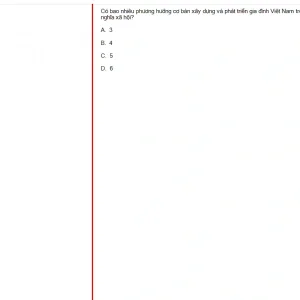 MLN131 FA24 B5 FE_017.webp
